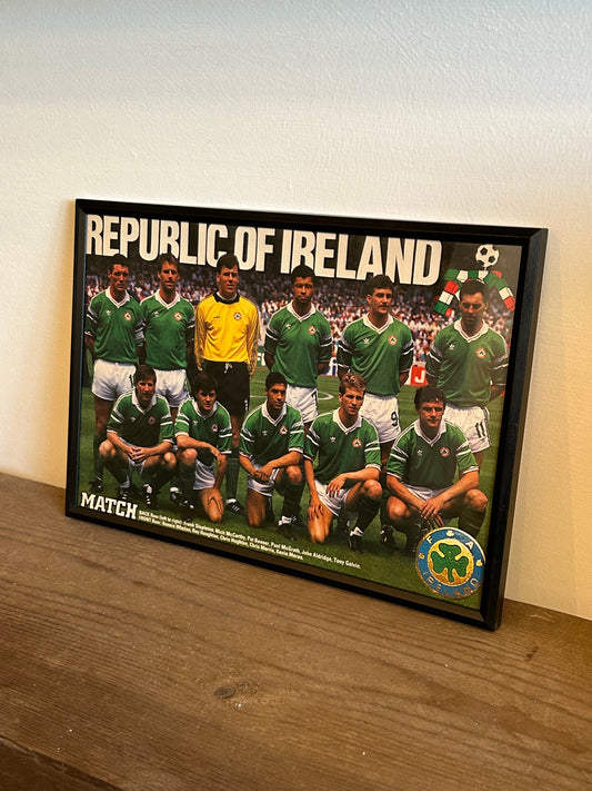 Republic of Ireland Vintage Article